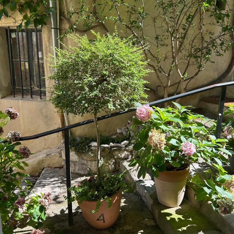 La Maison du Pont Romain - Villa 1 Chambre - 11