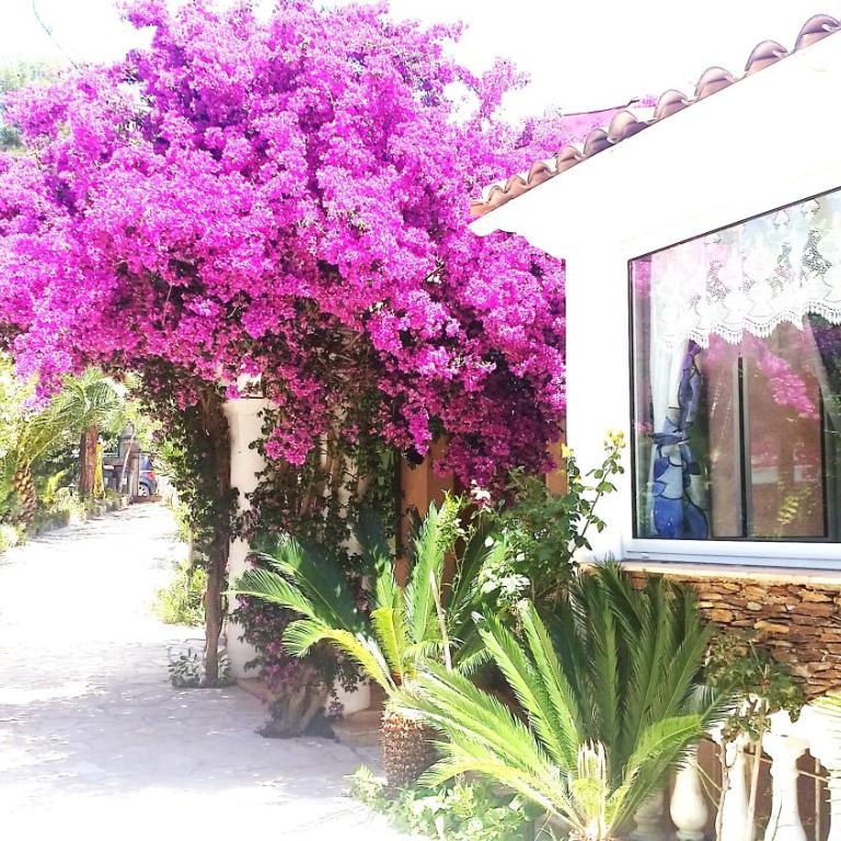 Villa Provençale â Sainte Maxime, Golf de Saint Tropez - Villa mit Meerblick - 23