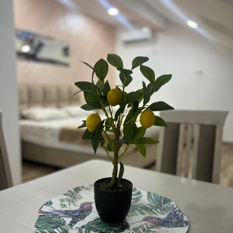 Apartment Tri limuna 3 - Apartman sa 1 Spavaćom Sobom - 2
