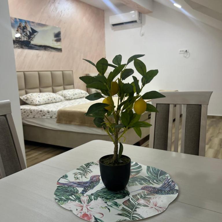Apartment Tri limuna 3 - Apartman sa 1 Spavaćom Sobom - 12