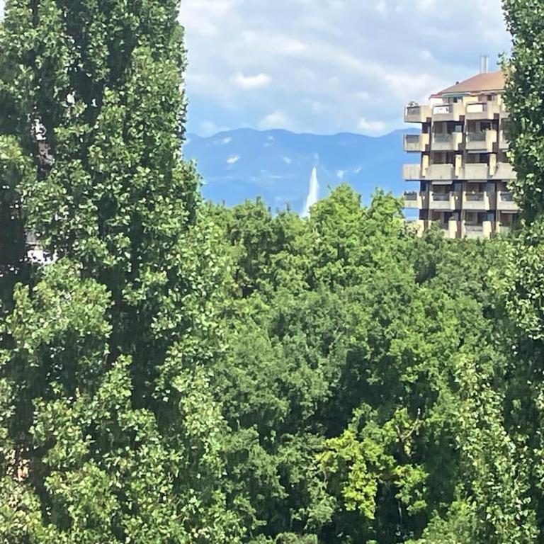 Amazing views modern flat Geneva, Champel - Appartement 1 Chambre - 1