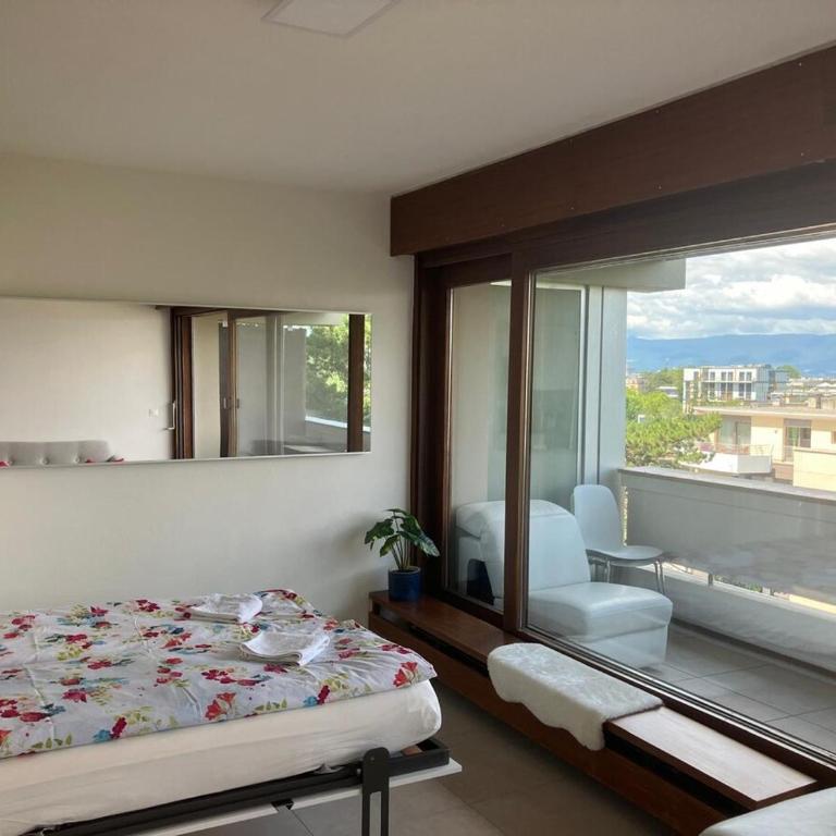 Amazing views modern flat Geneva, Champel - Appartement 1 Chambre - 5