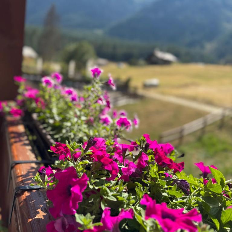 Grande Maison Du Coeur Champoluc Spa,Gym e Aree Relax - Two-Bedroom Apartment - 54