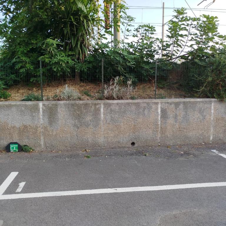 Bordighera Mare - Appartamento con 1 Camera da Letto - 11