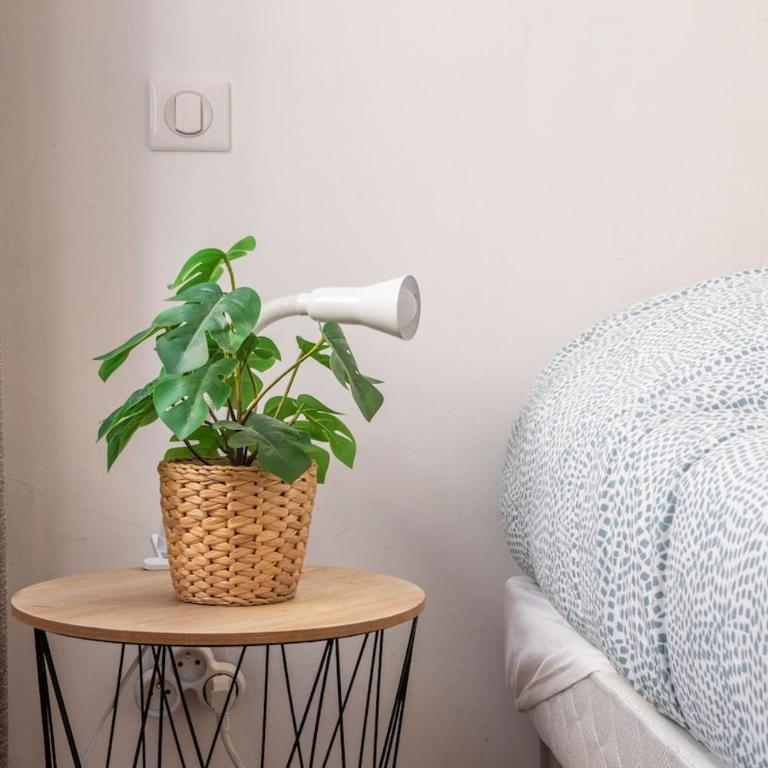 Central studio, perfect for discovering Aix on foot - Appartement 1 Chambre - 11