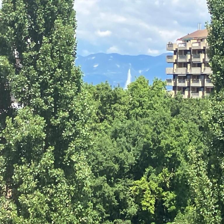 Amazing views modern flat Geneva, Champel - Appartement 1 Chambre - 2