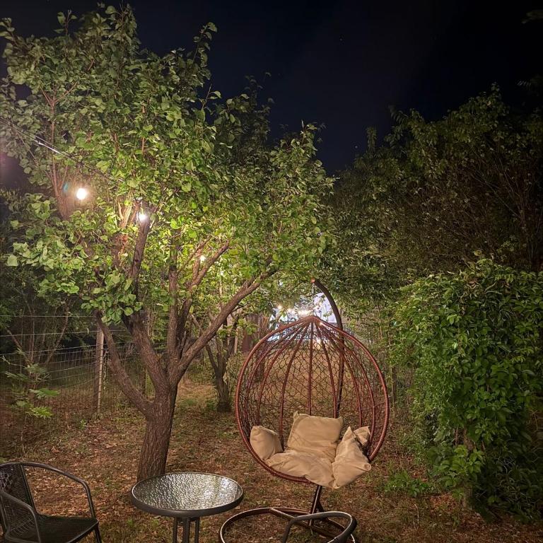 Apartman Dalija - Two-Bedroom Superior Apartment - 51