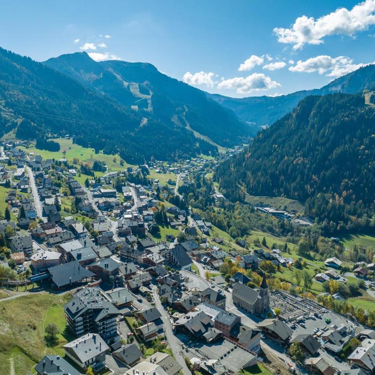 The View - Apt 03 - BO Immobilier - Châtel Multipass été 2026 en option au tarif de 4euros par jour et par personne - Appartement 3 Chambres - 3
