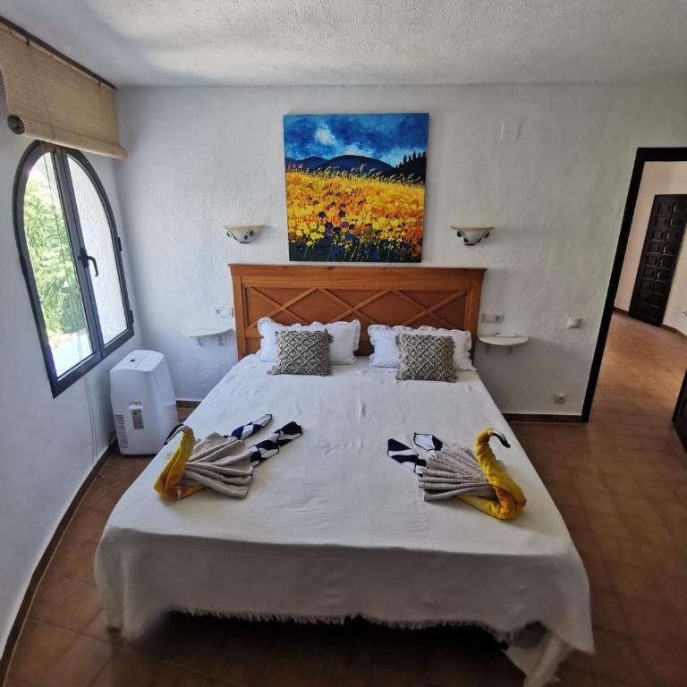 Vinolga - Apartamento - Planta baja - 4