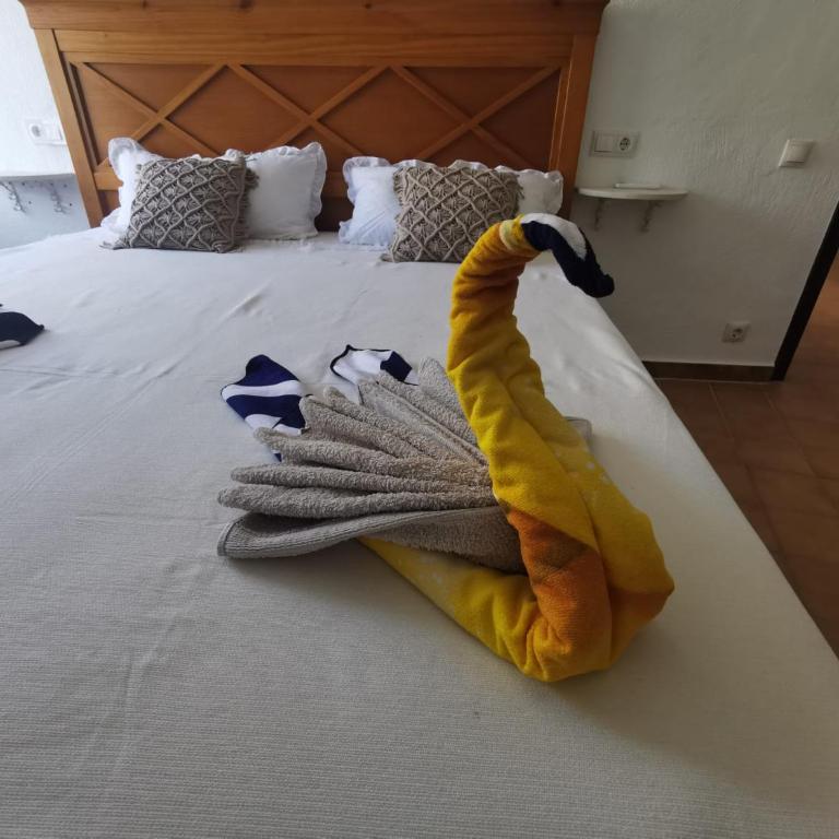 Vinolga - Apartamento - Planta baja - 3