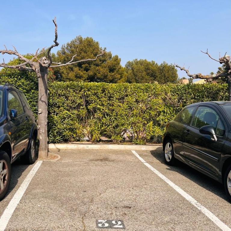 "LE COSY" très calme vue mer place de parking - Appartement - 14