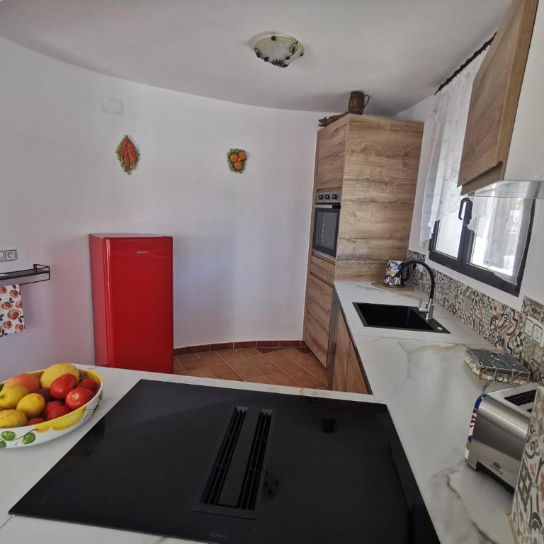 Vinolga - Apartamento - Planta baja - 8