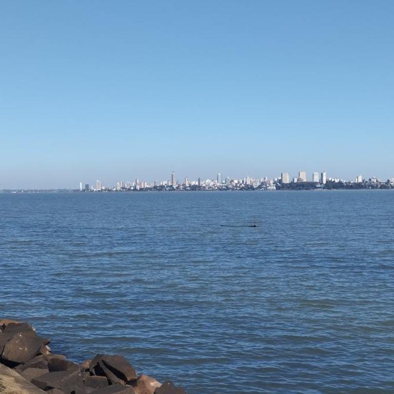 Modern apartment with pool, near Costanera beach - One-Bedroom Apartment - 20