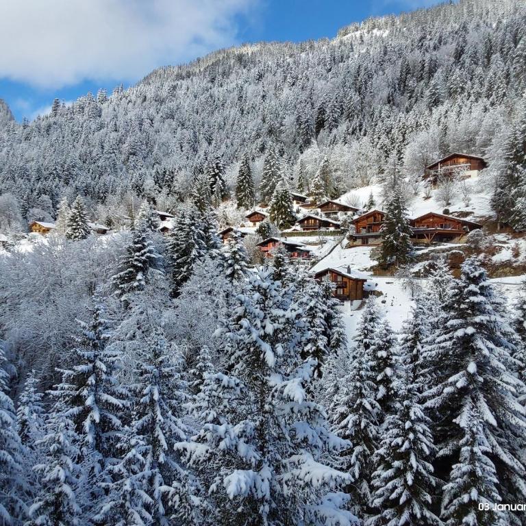 Alpine apartment in Swiss village of Torgon - Apartment mit 1 Schlafzimmer - 10