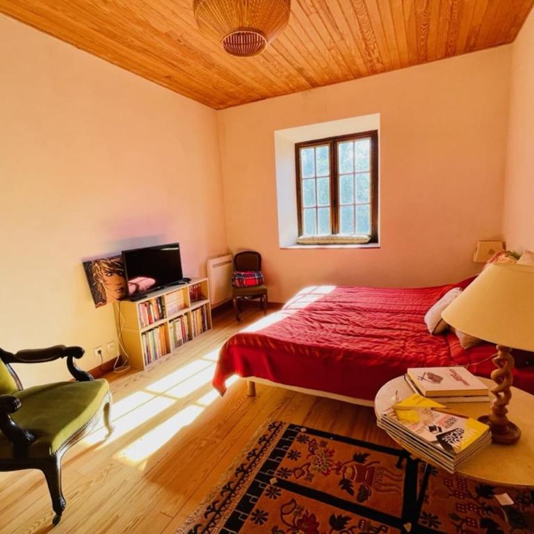 Large family nest with garden - Maison de Vacances - 4