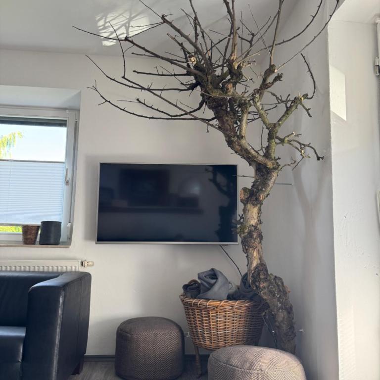 Helle & gemütliche Wohlfühlwohnung - Apartment mit 2 Schlafzimmern - 10