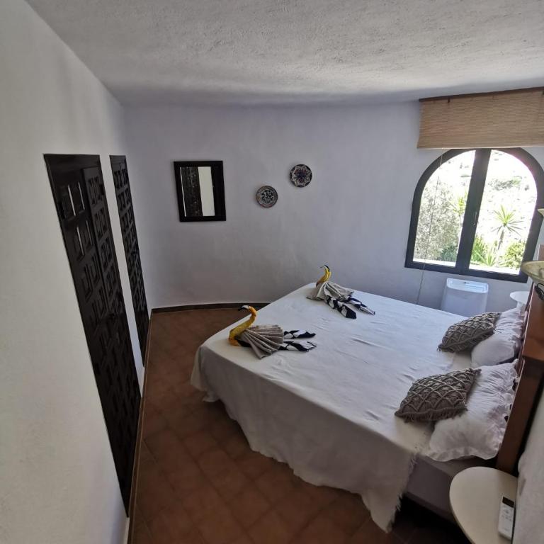 Vinolga - Apartamento - Planta baja - 12