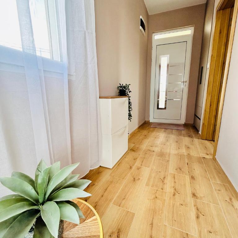 Apartments Boljević - Apartman - 7