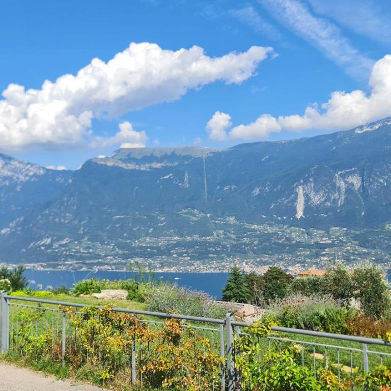 La Quiete17 fenced garden apartment by Gardadomusmea - Appartamento con Vista Lago - 9