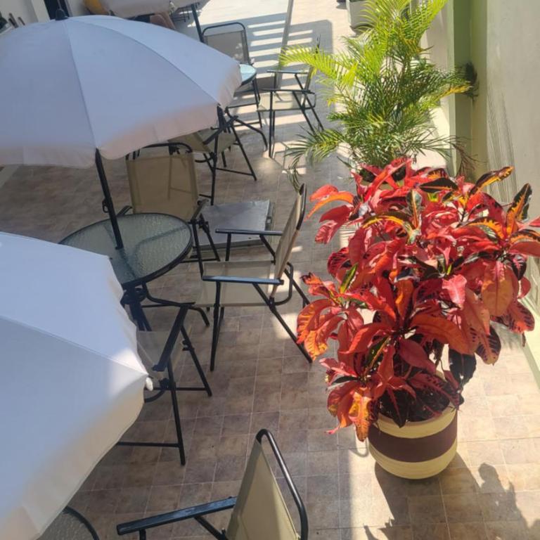 Gran Casa Con Piscina a 5 Minutos de la Playa - Apartment - 8