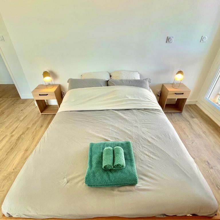 " Le Perchoir Bonnefoy " Vue - Wifi - TV - Appartamento con 2 Camere da Letto e Vista Città - 17