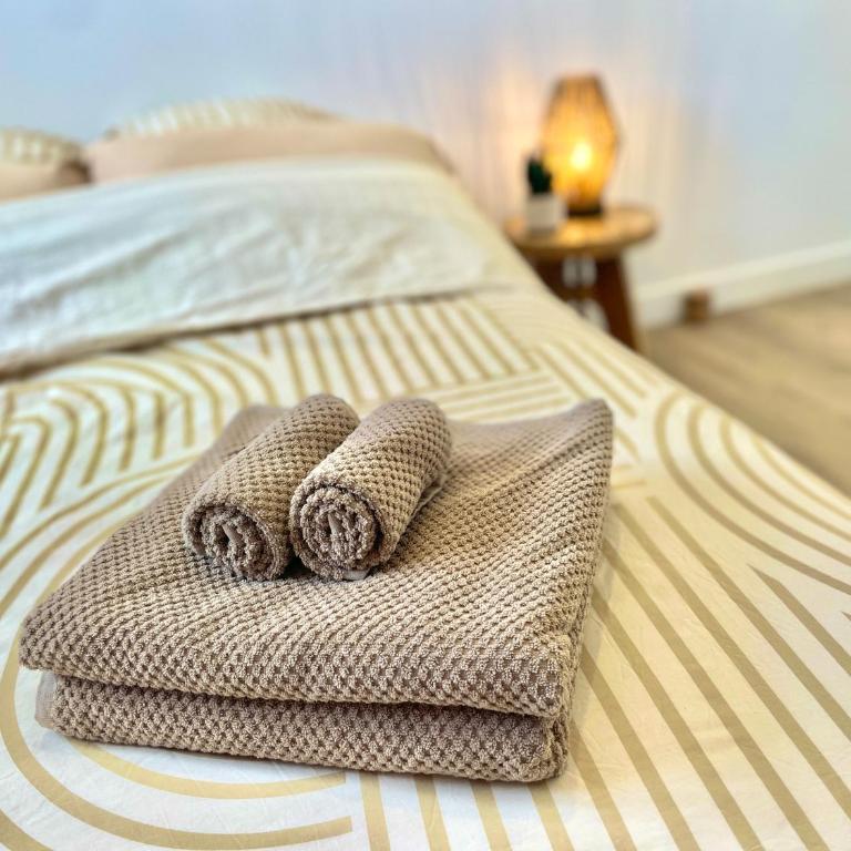 " Le Perchoir Bonnefoy " Vue - Wifi - TV - Appartamento con 2 Camere da Letto e Vista Città - 21