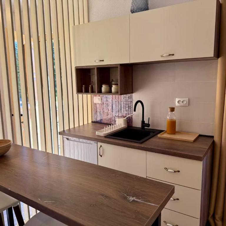 Durmitor Peaks and Pines - Studio with Mountain View - 5