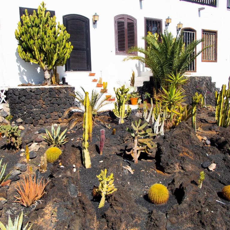 Zuri by Kamili Lanzarote - Apartamento de 1 dormitorio - 32