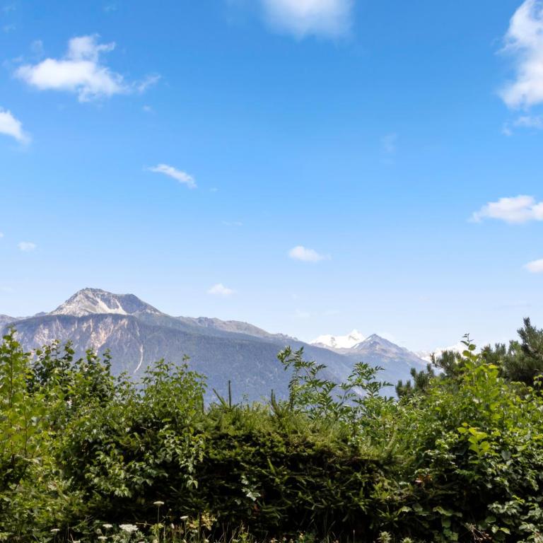 Crans-Montana - 6 pers - 5 lits - 2 parkings - Appartement 2 Chambres - 38
