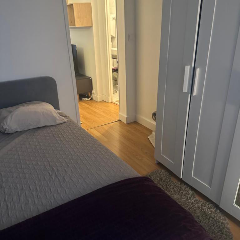 Bel Appartement Paris 11 - Appartement 1 Chambre - 3