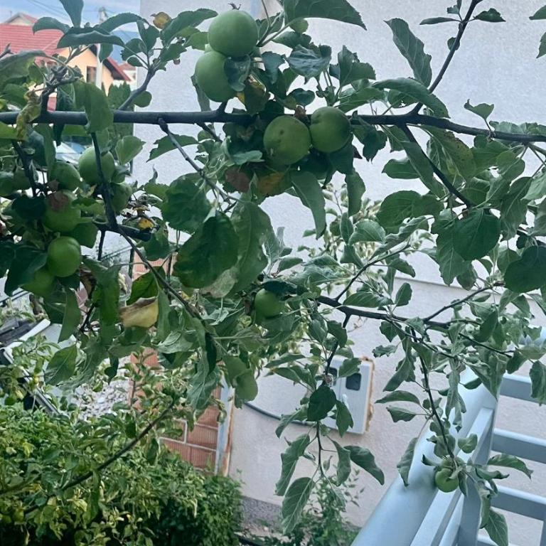 شقة جنة Gana apartment - Apartman sa 1 Spavaćom Sobom - 11