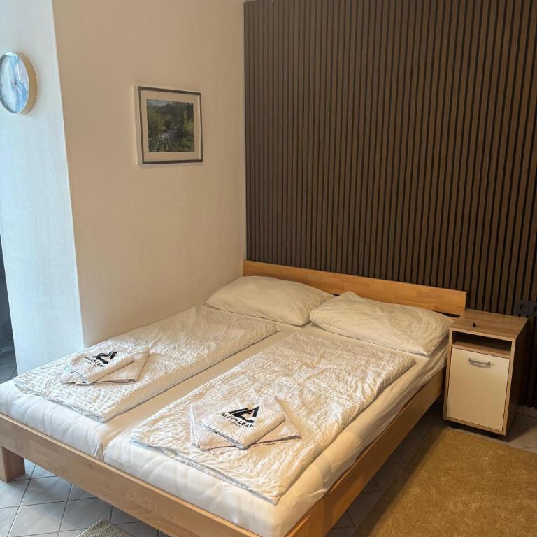 Alpine Studio - Apartment mit 1 Schlafzimmer - 2