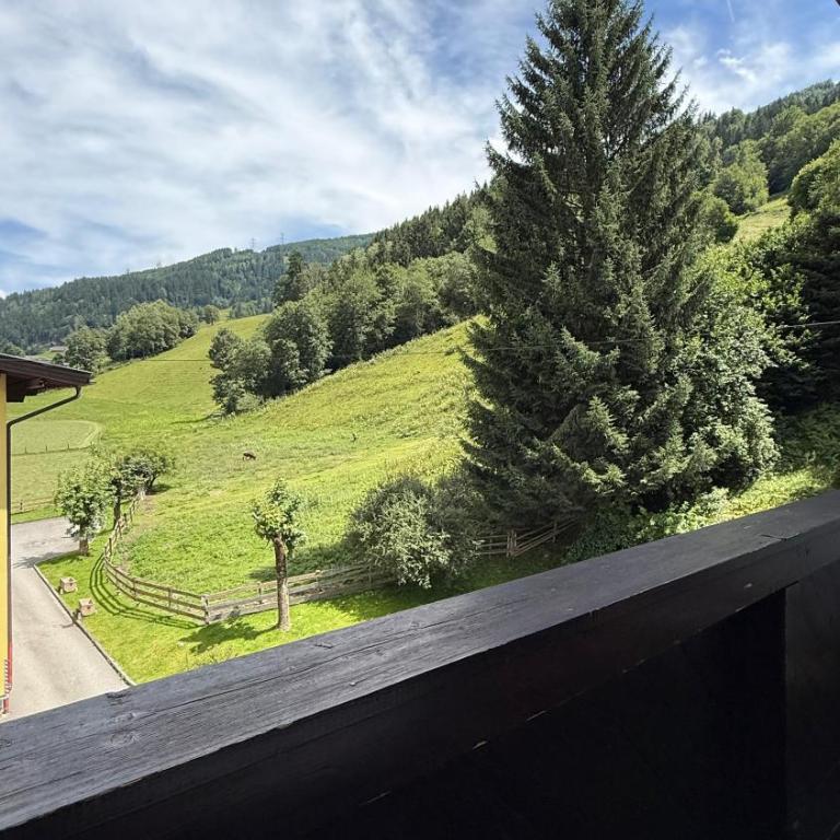 Alpine Studio - Apartment mit 1 Schlafzimmer - 12