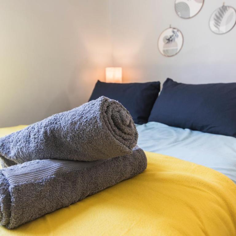 Studio Cosy Les 3 écritoires, hyper centre, wifi, VELORA - One-Bedroom Apartment - 8