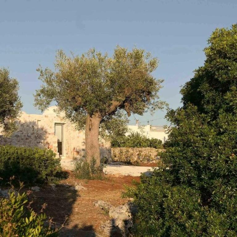 Villa Picoco - Private Pool - Casa con 4 camere da letto - 10