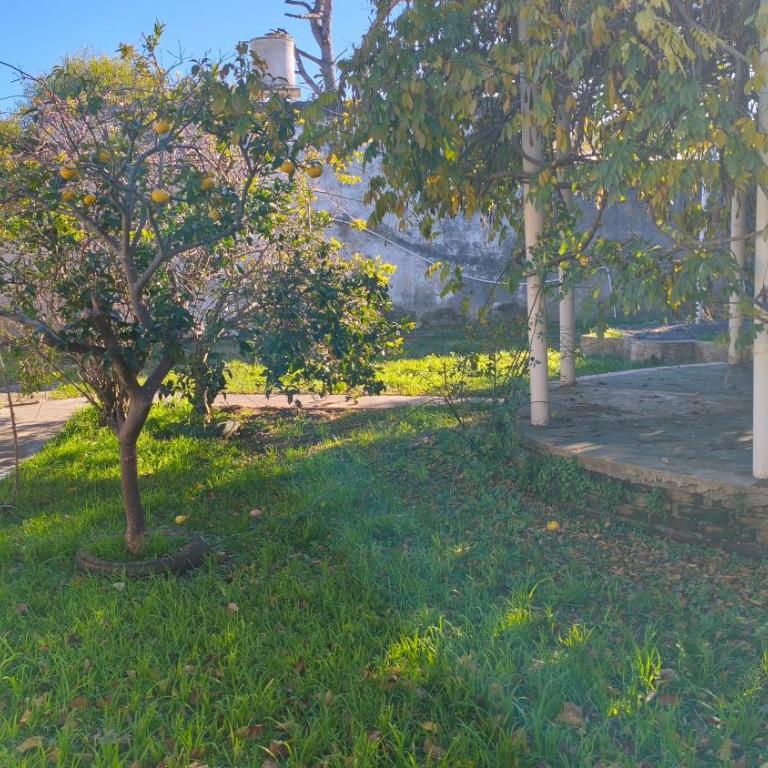 Casa ABUELO WILSON Santa Teresita - Three-Bedroom House - 25