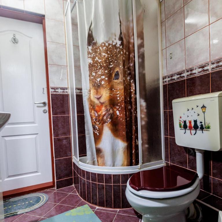 Apartman Tanja - One-Bedroom Apartment - 18