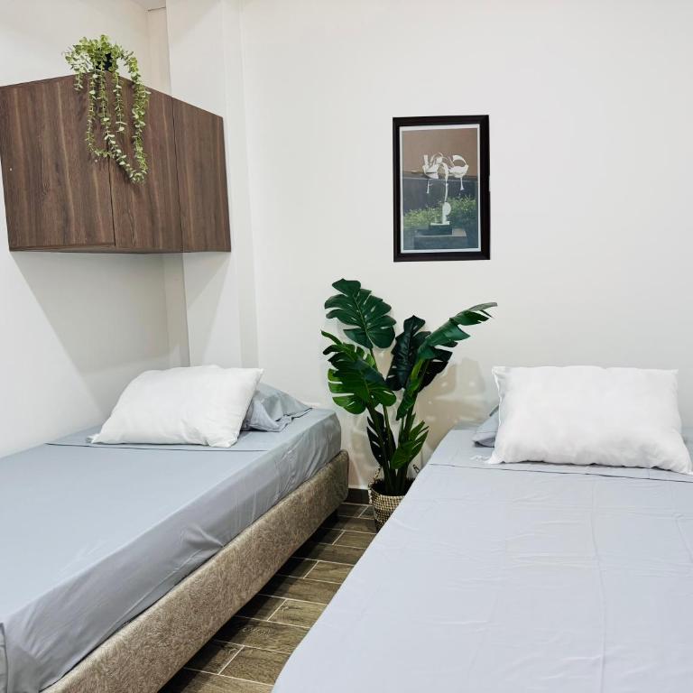 Bonavista Santa Marta - Apartment - 1