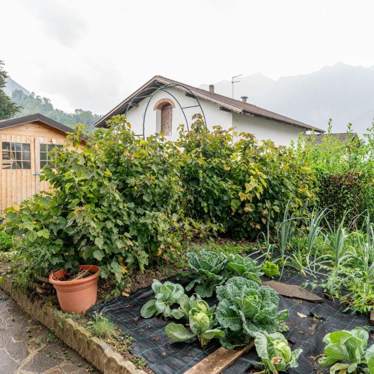 La Casa di Michela - 120m2 in the mountains with fireplace & garden - Casa Vacanze - 56