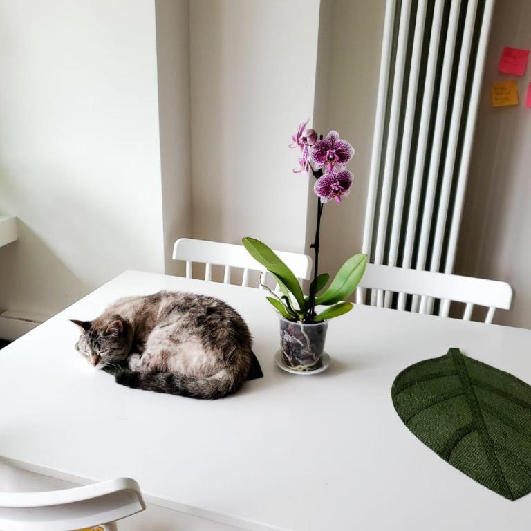 A Happy Home! - Appartamento con 1 Camera da Letto - 5