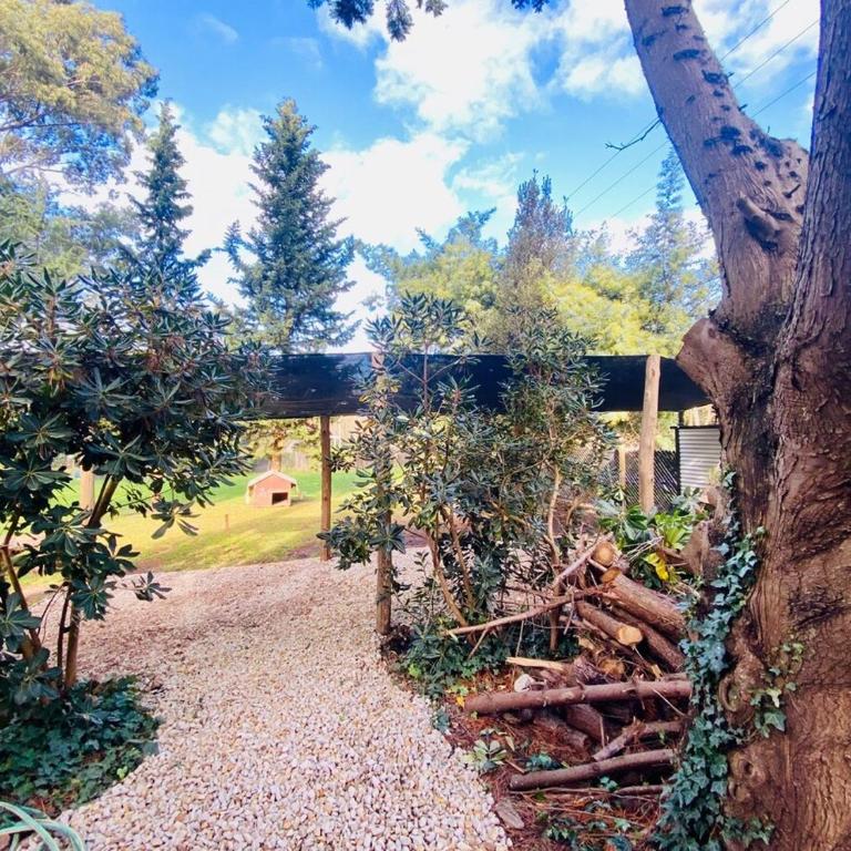 CASA CALMA refugio en medio de la naturaleza de Acantilados y amantes del golf - Casa - 60