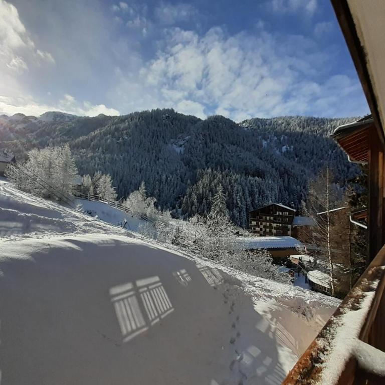 Chalet Florence - Studio pour 4 Personnes MAE-1441 - Studio - 10