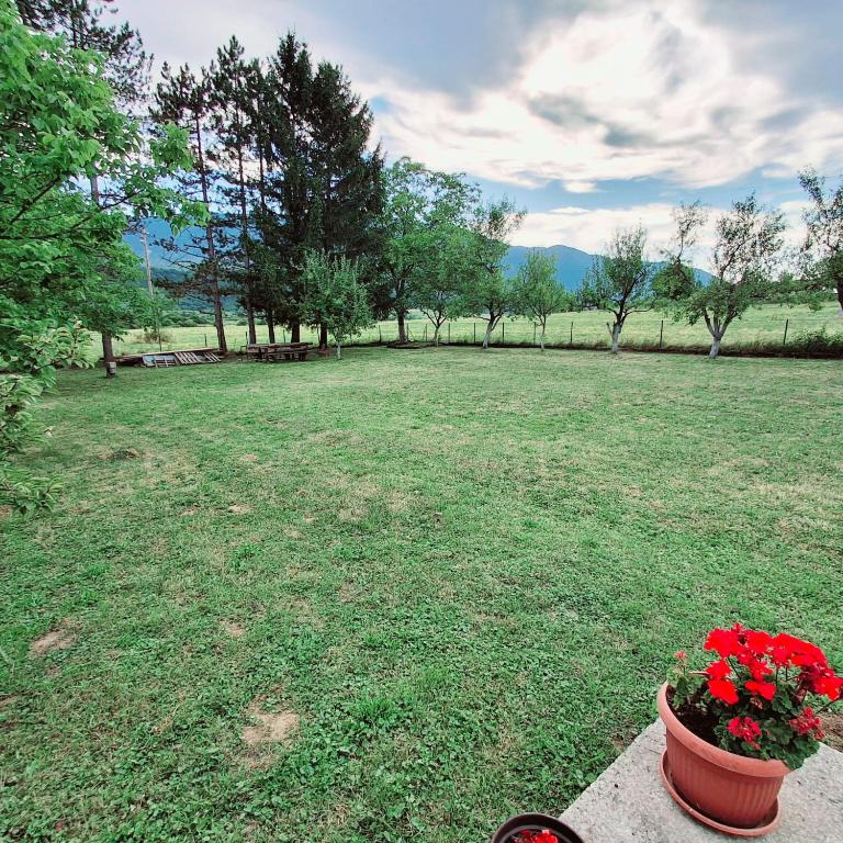 Peace Holiday Home - One-Bedroom House - 7