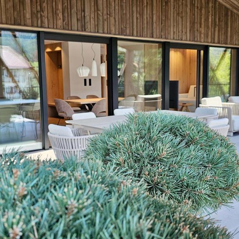 Mountain Residence CLARA - Appartamento Attico - 14