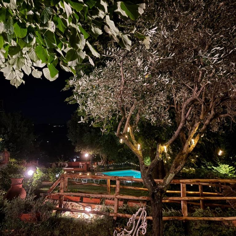 Villa Claudia - Villa con Piscina Privata - 34