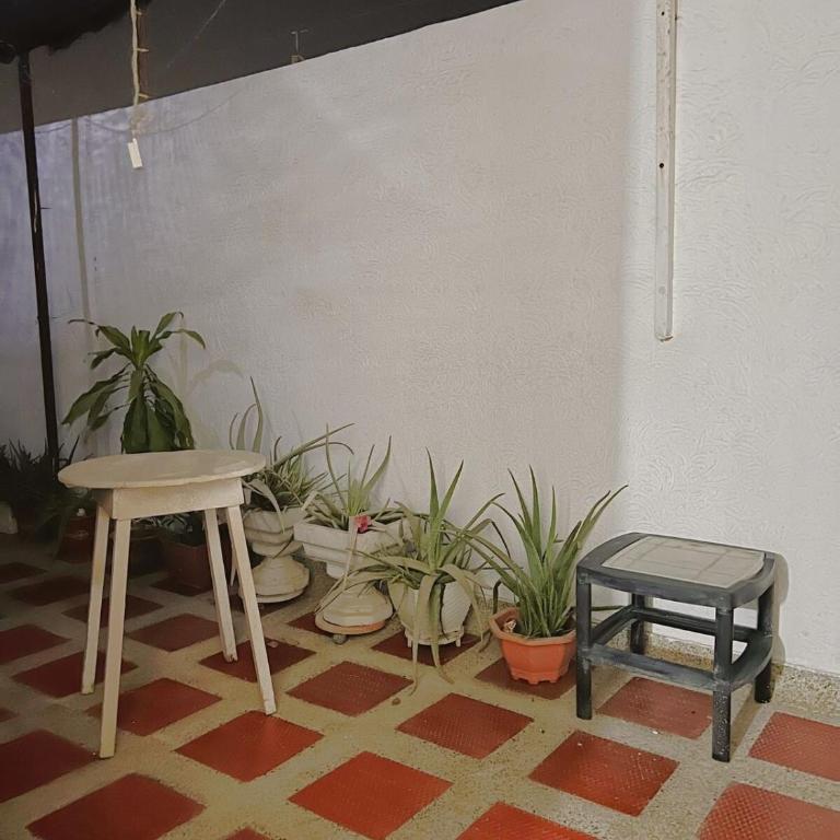 New house in Barranquilla - Apartamento - 8