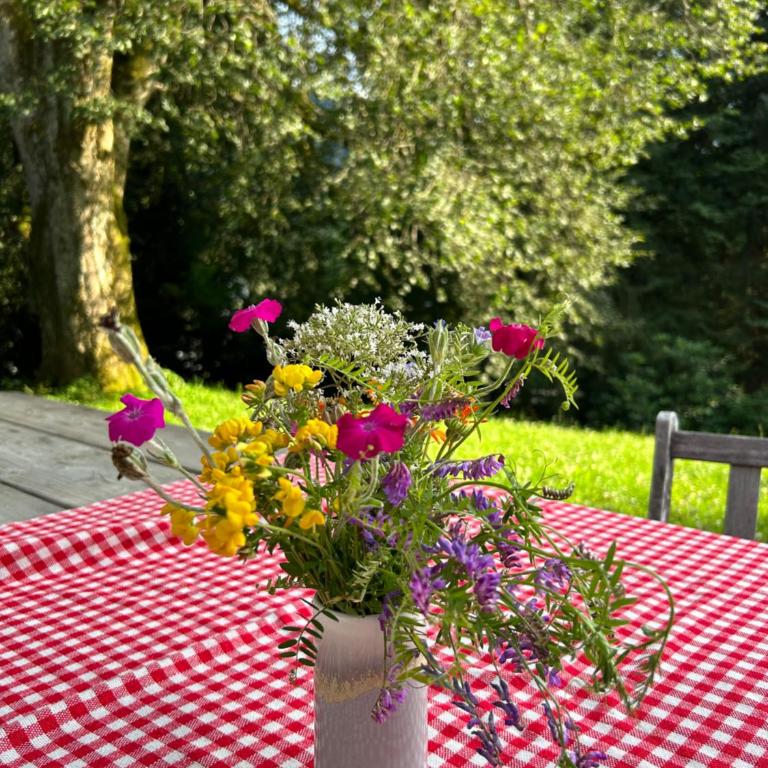 Haus am Berg - Ferienhaus mit 3 Schlafzimmern - 38