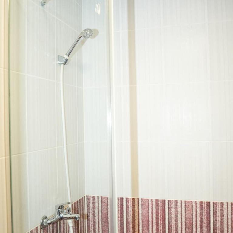 Apartments Bućin - Standard Studio - 20