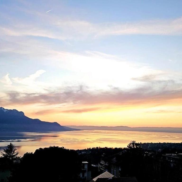 Riviera House Montreux, un lieu magique ! - Villa - 1