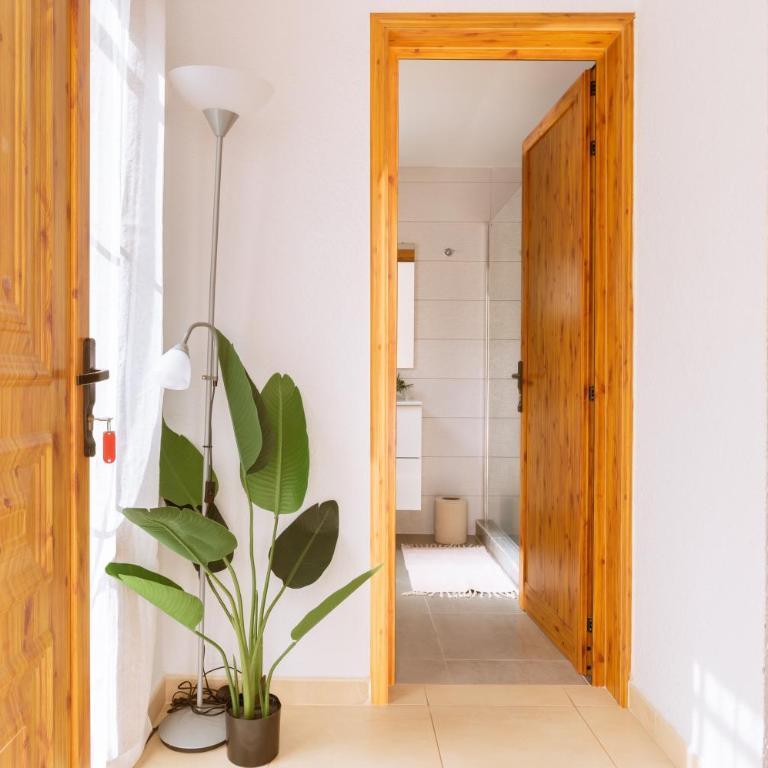 Sunset view, Los Cristianos - Port Royale - Apartamento de 1 dormitorio - 18
